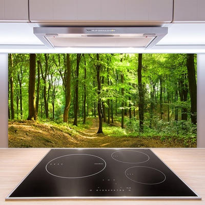 Kuchyňský skleněný panel Les Příroda