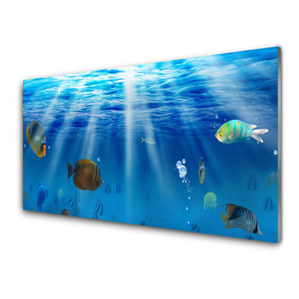 Kuchyňský skleněný panel Ryba Příroda