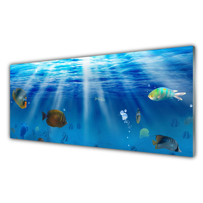 Kuchyňský skleněný panel Ryba Příroda