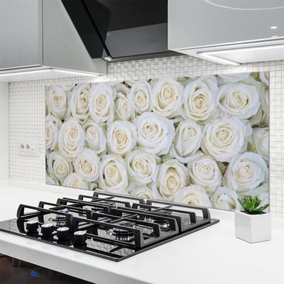 Kuchyňský skleněný panel Růže Květiny Rostlina