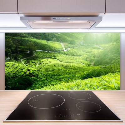 Kuchyňský skleněný panel Louka Příroda