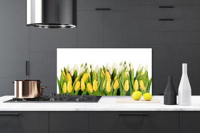 Kuchyňský skleněný panel Tulipány Květiny Rostlina