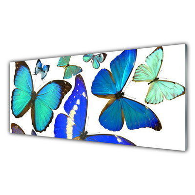 Kuchyňský skleněný panel Motýli Příroda