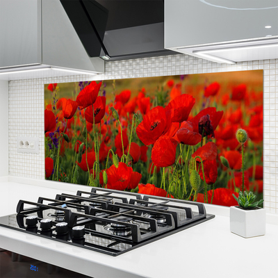 Kuchyňský skleněný panel Máky Rostlina Příroda