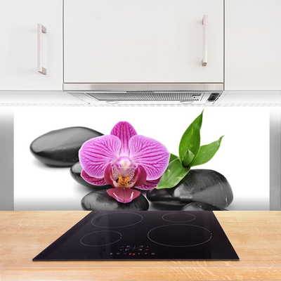 Kuchyňský skleněný panel Květ Kameny Umění