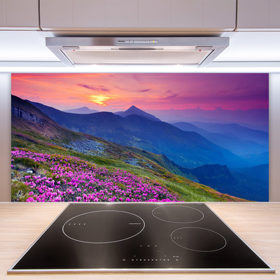 Kuchyňský skleněný panel Hory Louka Květiny Krajina