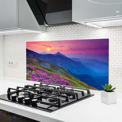 Kuchyňský skleněný panel Hory Louka Květiny Krajina