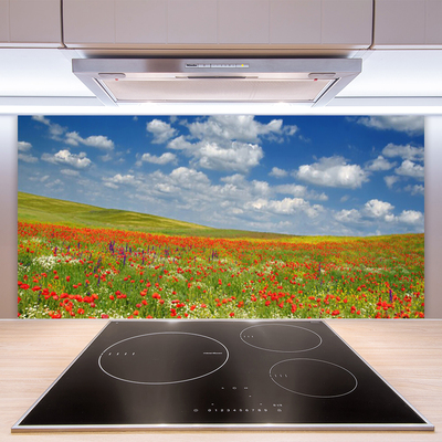 Kuchyňský skleněný panel Louka Květiny Krajina