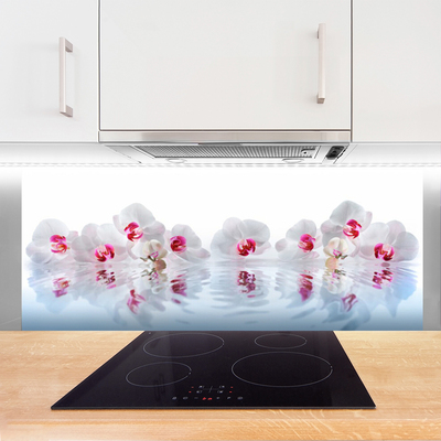 Kuchyňský skleněný panel Květiny Rostlina Příroda Umění