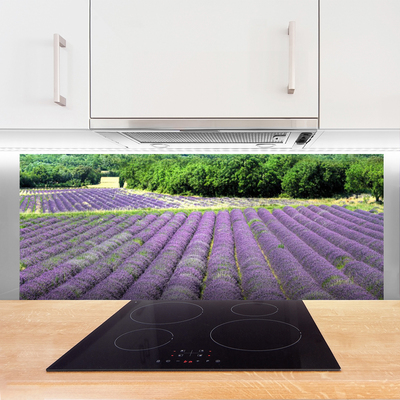 Kuchyňský skleněný panel Louka Květiny Příroda