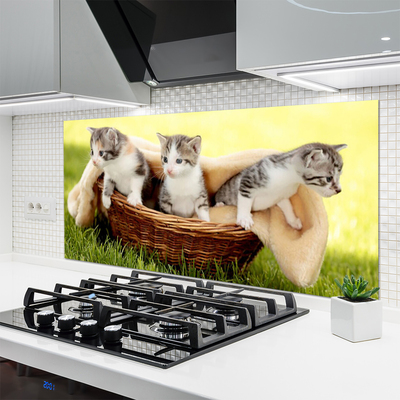 Skleněné obklady do kuchyně Kočky Zvířata