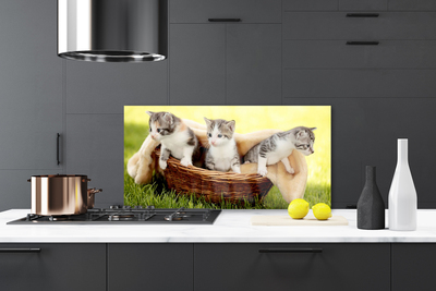 Skleněné obklady do kuchyně Kočky Zvířata