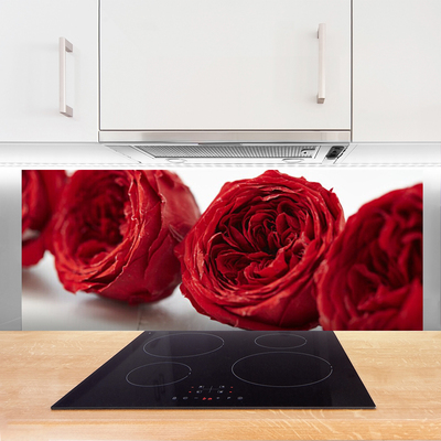Skleněné obklady do kuchyně Růže Květiny Rostlina