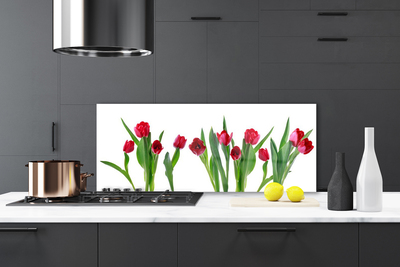 Skleněné obklady do kuchyně Tulipány Květiny Rostlina