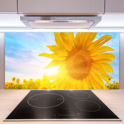 Skleněné obklady do kuchyně Slunečnice Květ Slunce