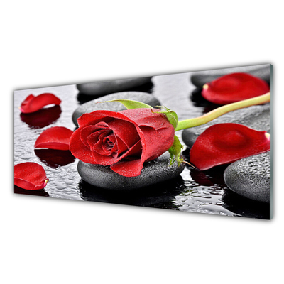 Skleněné obklady do kuchyně Růže Květ Kameny Zen