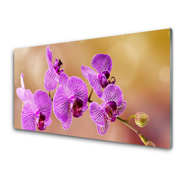 Skleněné obklady do kuchyně Orchidej Výhonky Květiny Příroda