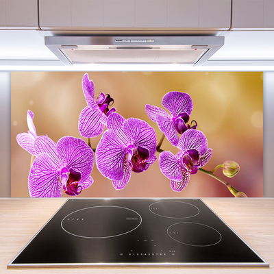 Skleněné obklady do kuchyně Orchidej Výhonky Květiny Příroda