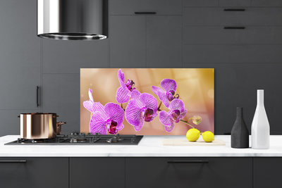 Skleněné obklady do kuchyně Orchidej Výhonky Květiny Příroda