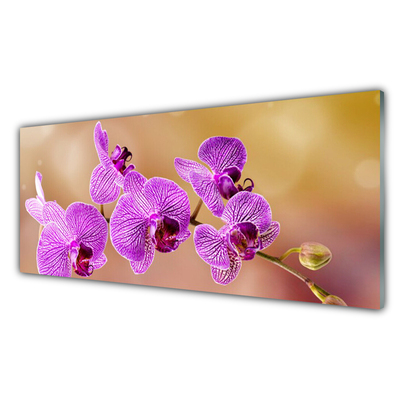 Skleněné obklady do kuchyně Orchidej Výhonky Květiny Příroda