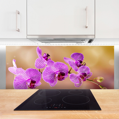 Skleněné obklady do kuchyně Orchidej Výhonky Květiny Příroda