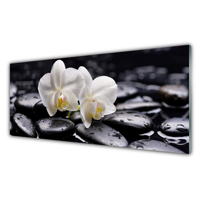 Skleněné obklady do kuchyně Kameny Zen Bílá Orchidej