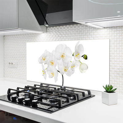 Skleněné obklady do kuchyně Bílá Orchidej Květiny