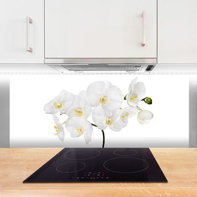 Skleněné obklady do kuchyně Bílá Orchidej Květiny