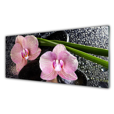 Skleněné obklady do kuchyně Květiny Orchidej Kameny Zen