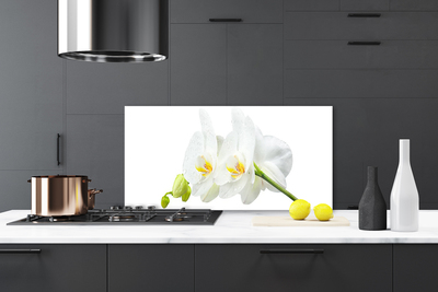 Skleněné obklady do kuchyně Plátky Květ Bíla Orchidej