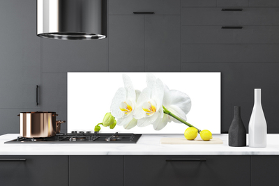 Skleněné obklady do kuchyně Plátky Květ Bíla Orchidej