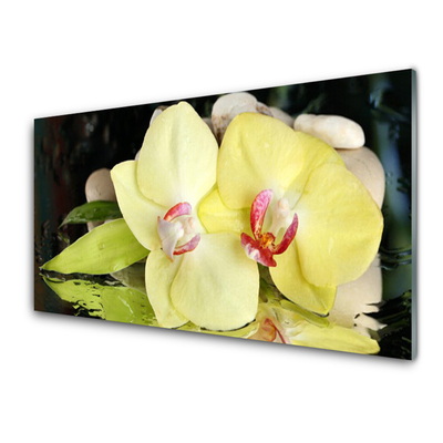 Skleněné obklady do kuchyně Okvětní Plátky Orchidej