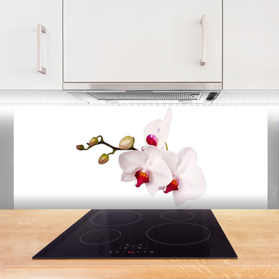 Skleněné obklady do kuchyně Květiny Příroda Orchidej