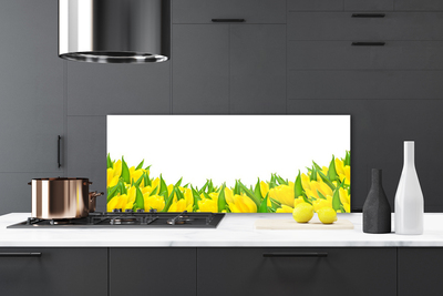 Skleněné obklady do kuchyně Květiny Příroda Tulipány
