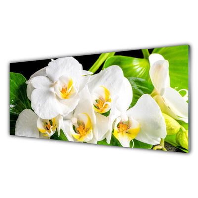 Skleněné obklady do kuchyně Orchidej Květiny Příroda