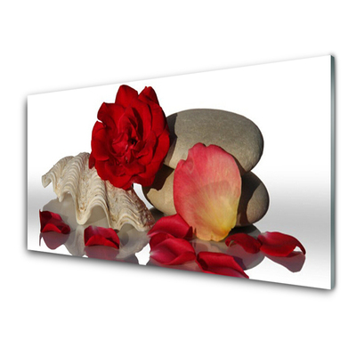 Skleněné obklady do kuchyně Růže Plátky Mrtvá Příroda