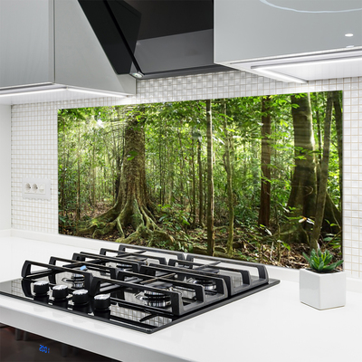 Skleněné obklady do kuchyně Les Příroda Džungle