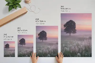 Plakát na zeď osamělý strom v mlze s pastelovými barvami oblohy