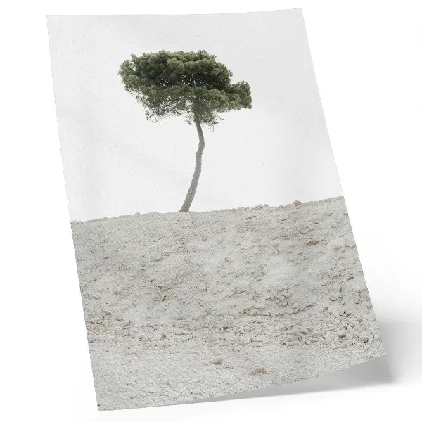 Plakát osamělý strom na světlém pozadí v minimalistickém stylu