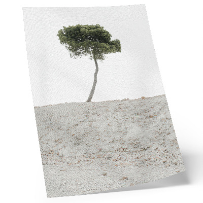 Plakát Osamělý strom na světlém pozadí, minimalismus