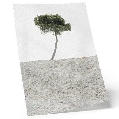 Plakát osamělý strom na světlém pozadí v minimalistickém stylu