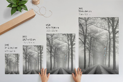 Nástěnný plakát Mlžná alej stromů Moderní minimalismus
