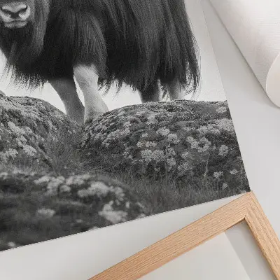Nástěnný plakát černo-bílá zvířata v syrovém stylu přírodní elegance
