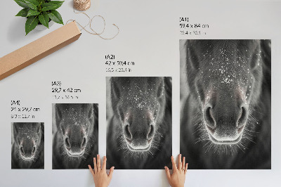 Plakát Fotorealistický detailní záběr koňské tváře ve sněhu