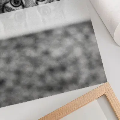 Plakátový obraz kočka za povrchem v černobílém minimalismu