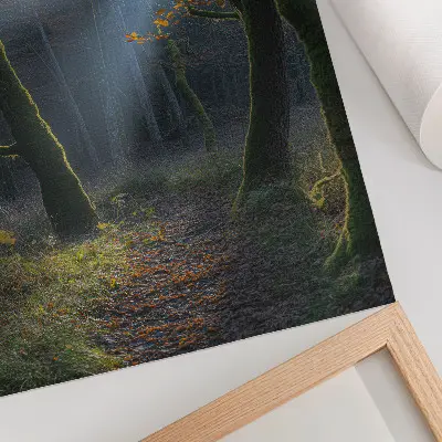 Plakát kouzelný les v podzimním světle s klidnou atmosférou