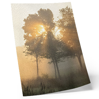 Nástěnný plakát Mlžný úsvit, teplé světlo, stromy, inspirace