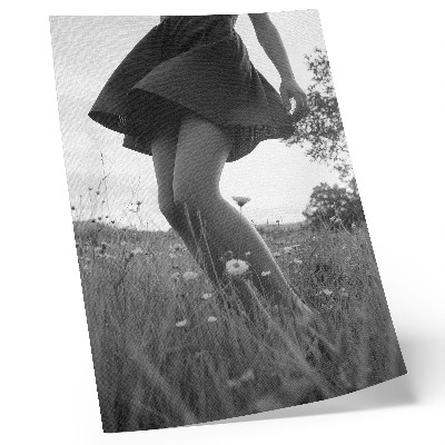 Dekorativní plakát Černobílá fotografie louky plné harmonie a míru.