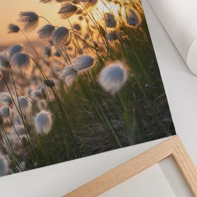 Dekorativní plakát trávy při západu slunce v teplých barvách