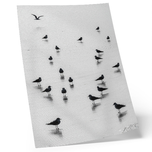 Plakát na zeď Ptáci nad vodou, jemné odrazy, minimalismus